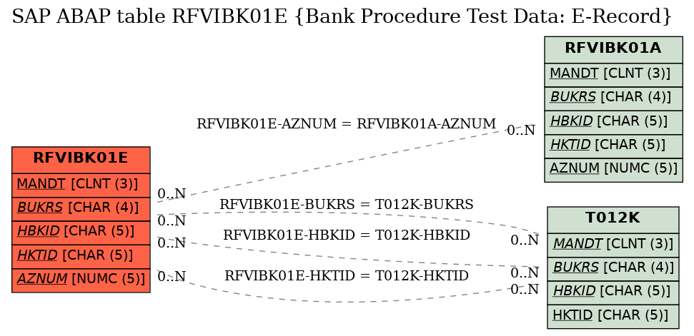 E-R Diagram for table RFVIBK01E (Bank Procedure Test Data: E-Record)