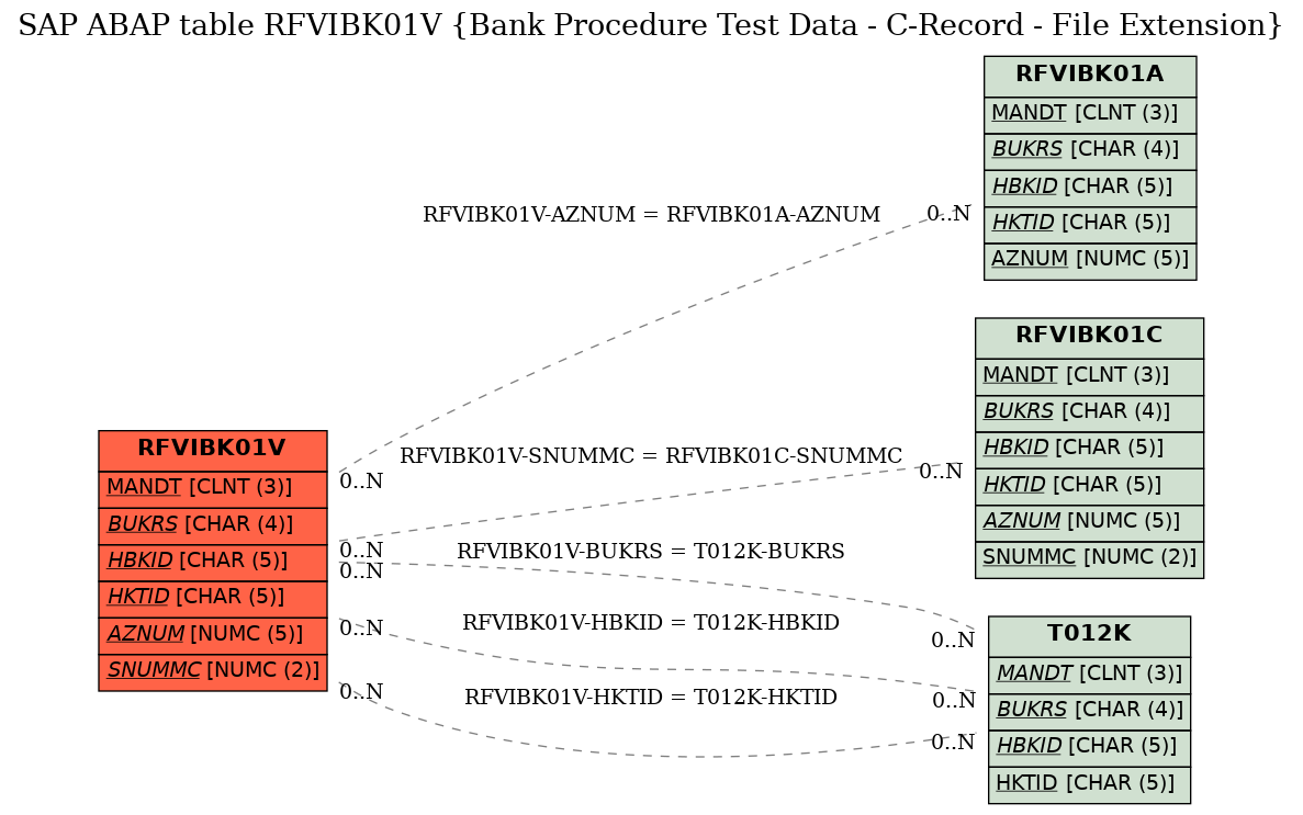 E-R Diagram for table RFVIBK01V (Bank Procedure Test Data - C-Record - File Extension)