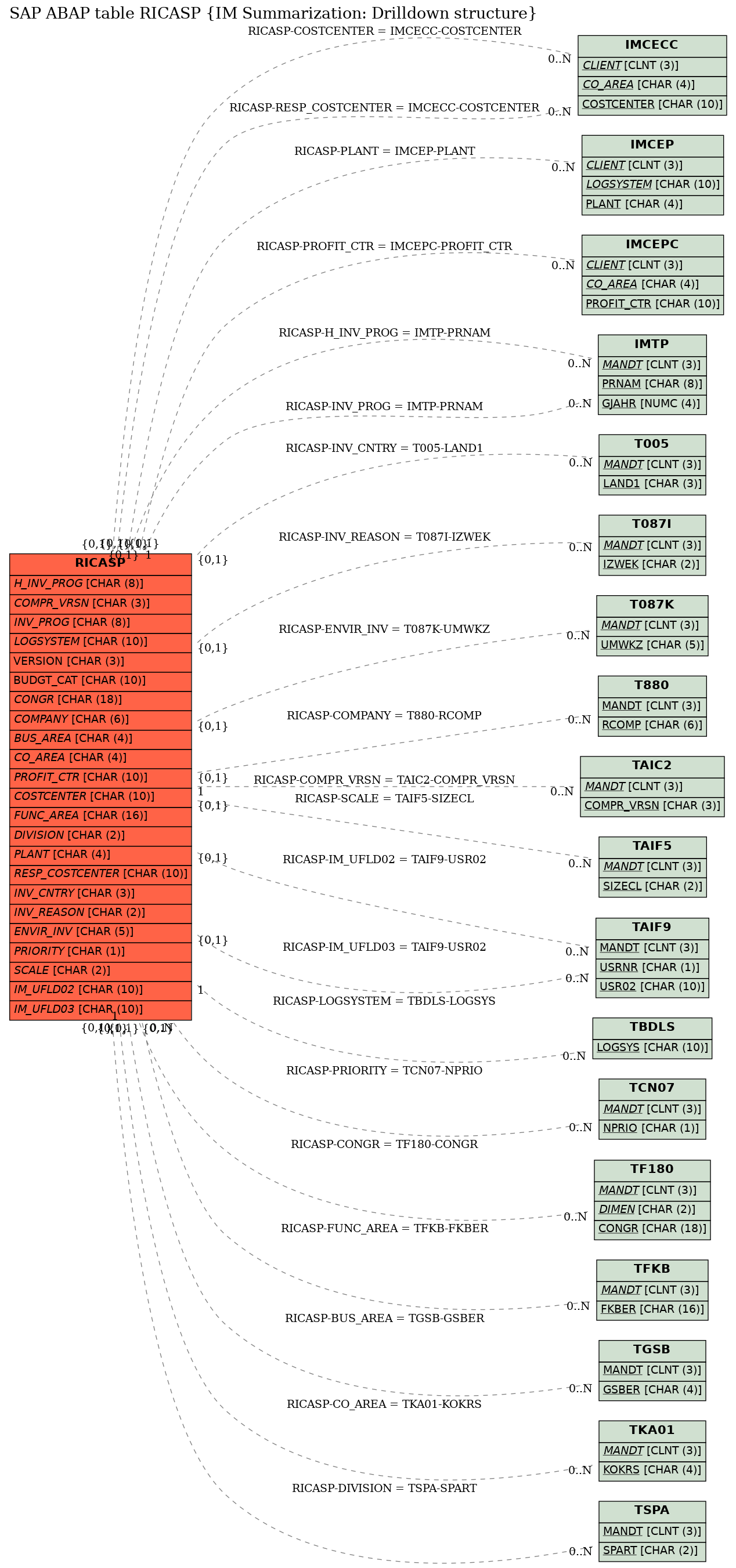 E-R Diagram for table RICASP (IM Summarization: Drilldown structure)