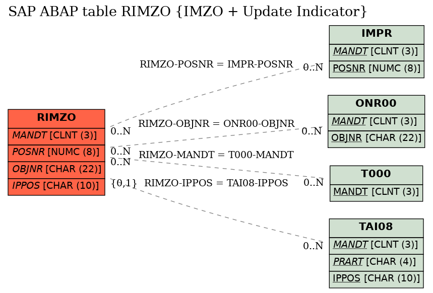 E-R Diagram for table RIMZO (IMZO + Update Indicator)