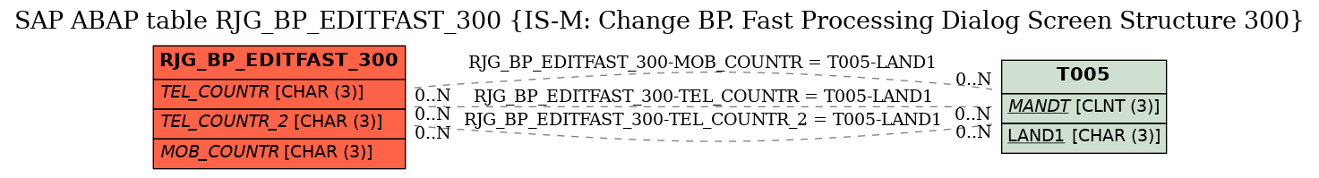 E-R Diagram for table RJG_BP_EDITFAST_300 (IS-M: Change BP. Fast Processing Dialog Screen Structure 300)