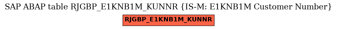 E-R Diagram for table RJGBP_E1KNB1M_KUNNR (IS-M: E1KNB1M Customer Number)