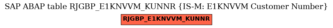 E-R Diagram for table RJGBP_E1KNVVM_KUNNR (IS-M: E1KNVVM Customer Number)