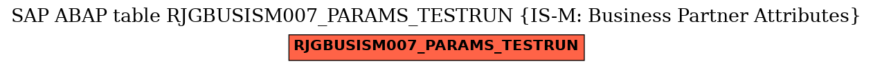 E-R Diagram for table RJGBUSISM007_PARAMS_TESTRUN (IS-M: Business Partner Attributes)