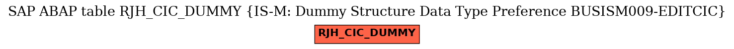 E-R Diagram for table RJH_CIC_DUMMY (IS-M: Dummy Structure Data Type Preference BUSISM009-EDITCIC)