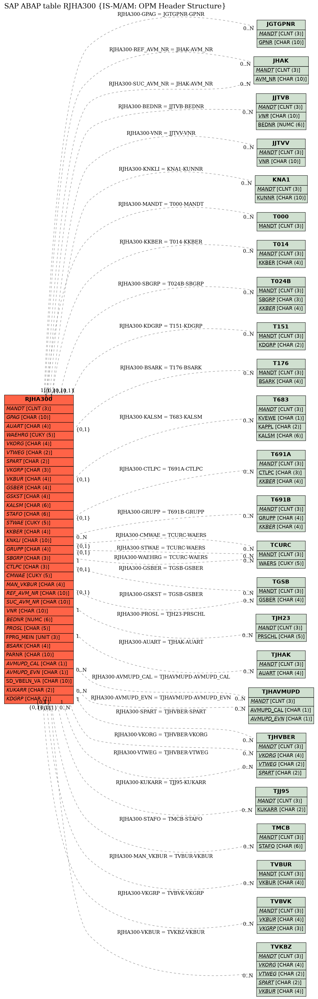 E-R Diagram for table RJHA300 (IS-M/AM: OPM Header Structure)