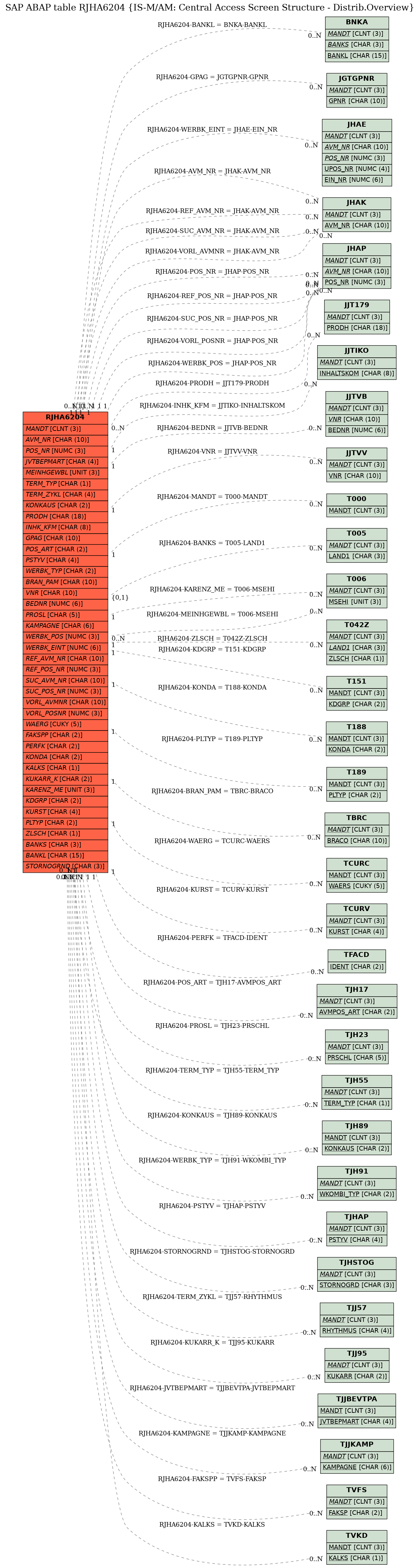 E-R Diagram for table RJHA6204 (IS-M/AM: Central Access Screen Structure - Distrib.Overview)