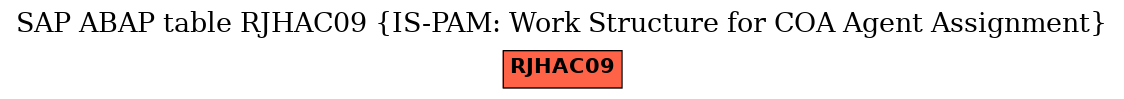 E-R Diagram for table RJHAC09 (IS-PAM: Work Structure for COA Agent Assignment)