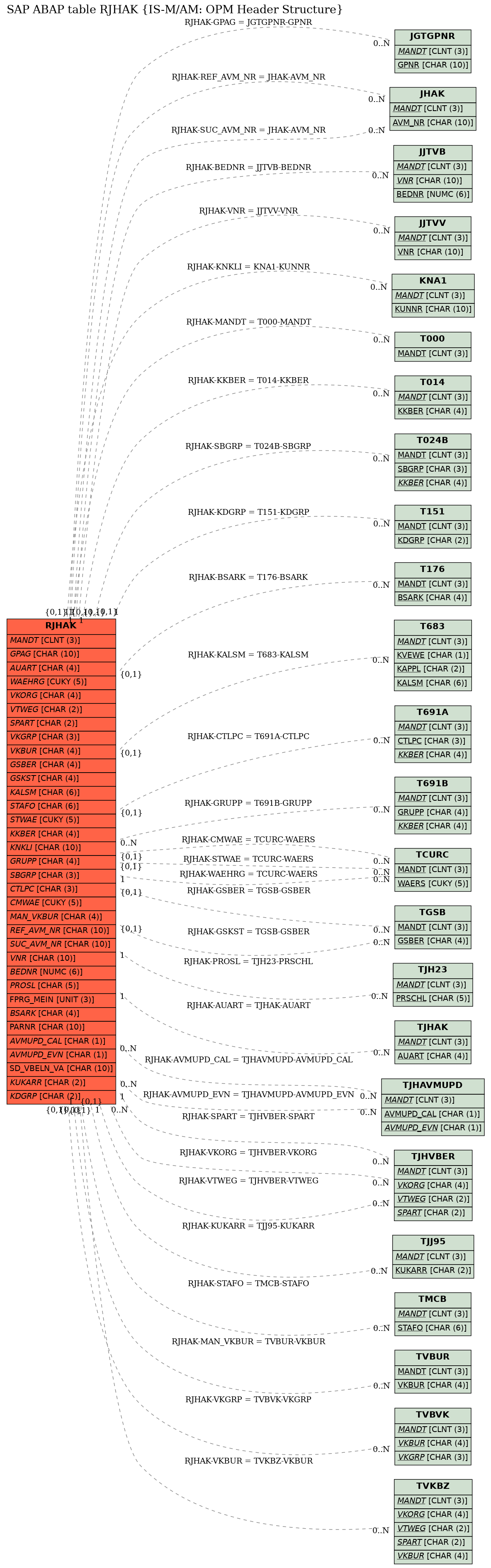 E-R Diagram for table RJHAK (IS-M/AM: OPM Header Structure)