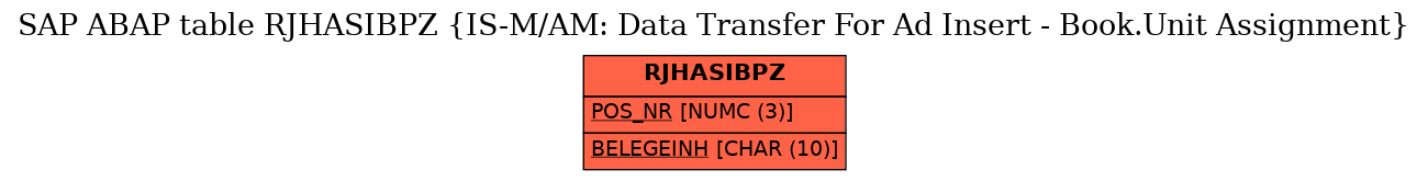 E-R Diagram for table RJHASIBPZ (IS-M/AM: Data Transfer For Ad Insert - Book.Unit Assignment)