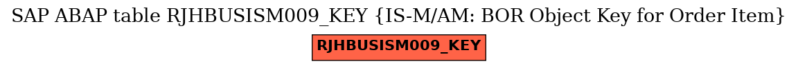E-R Diagram for table RJHBUSISM009_KEY (IS-M/AM: BOR Object Key for Order Item)