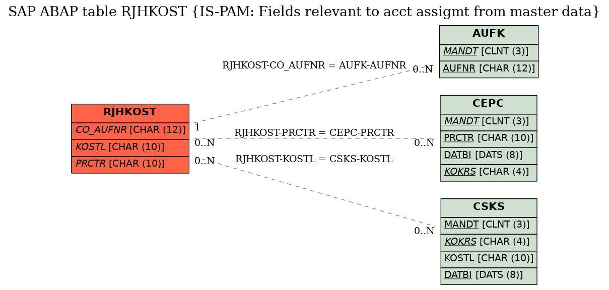 E-R Diagram for table RJHKOST (IS-PAM: Fields relevant to acct assigmt from master data)