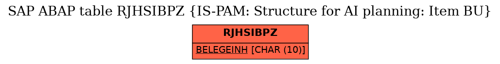 E-R Diagram for table RJHSIBPZ (IS-PAM: Structure for AI planning: Item BU)