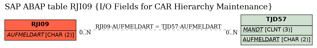 E-R Diagram for table RJI09 (I/O Fields for CAR Hierarchy Maintenance)