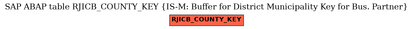 E-R Diagram for table RJICB_COUNTY_KEY (IS-M: Buffer for District Municipality Key for Bus. Partner)