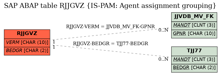 E-R Diagram for table RJJGVZ (IS-PAM: Agent assignment grouping)