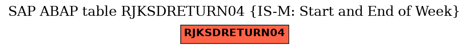 E-R Diagram for table RJKSDRETURN04 (IS-M: Start and End of Week)