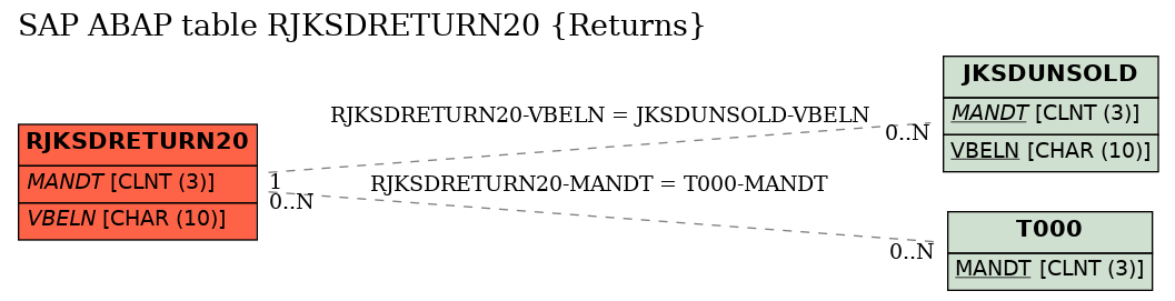 E-R Diagram for table RJKSDRETURN20 (Returns)