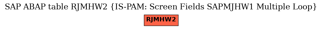 E-R Diagram for table RJMHW2 (IS-PAM: Screen Fields SAPMJHW1 Multiple Loop)