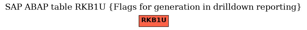 E-R Diagram for table RKB1U (Flags for generation in drilldown reporting)