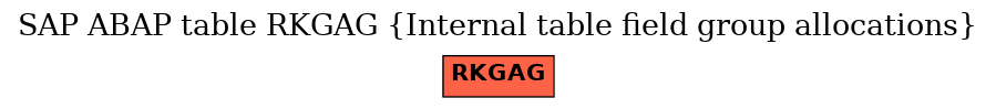 E-R Diagram for table RKGAG (Internal table field group allocations)