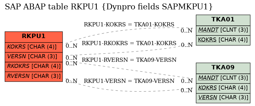 E-R Diagram for table RKPU1 (Dynpro fields SAPMKPU1)