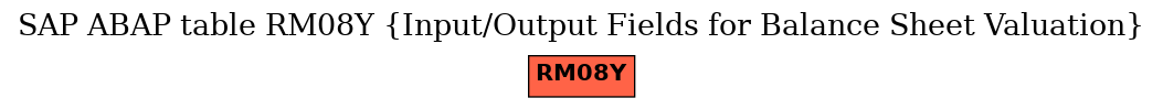 E-R Diagram for table RM08Y (Input/Output Fields for Balance Sheet Valuation)