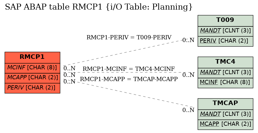 E-R Diagram for table RMCP1 (i/O Table: Planning)