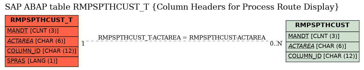 E-R Diagram for table RMPSPTHCUST_T (Column Headers for Process Route Display)