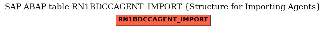 E-R Diagram for table RN1BDCCAGENT_IMPORT (Structure for Importing Agents)