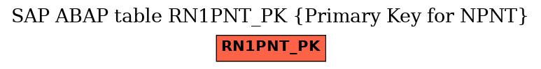 E-R Diagram for table RN1PNT_PK (Primary Key for NPNT)