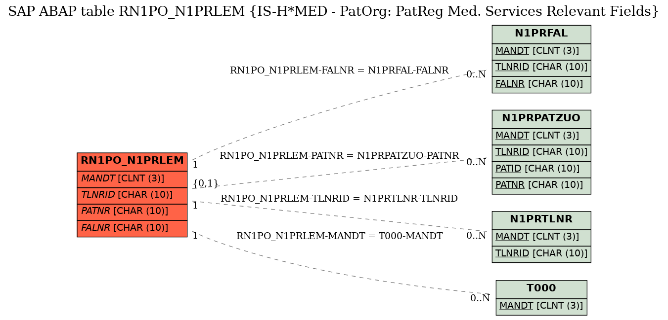 E-R Diagram for table RN1PO_N1PRLEM (IS-H*MED - PatOrg: PatReg Med. Services Relevant Fields)