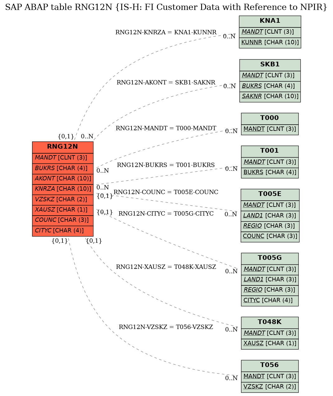 E-R Diagram for table RNG12N (IS-H: FI Customer Data with Reference to NPIR)