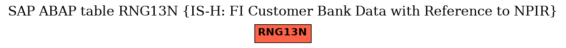 E-R Diagram for table RNG13N (IS-H: FI Customer Bank Data with Reference to NPIR)