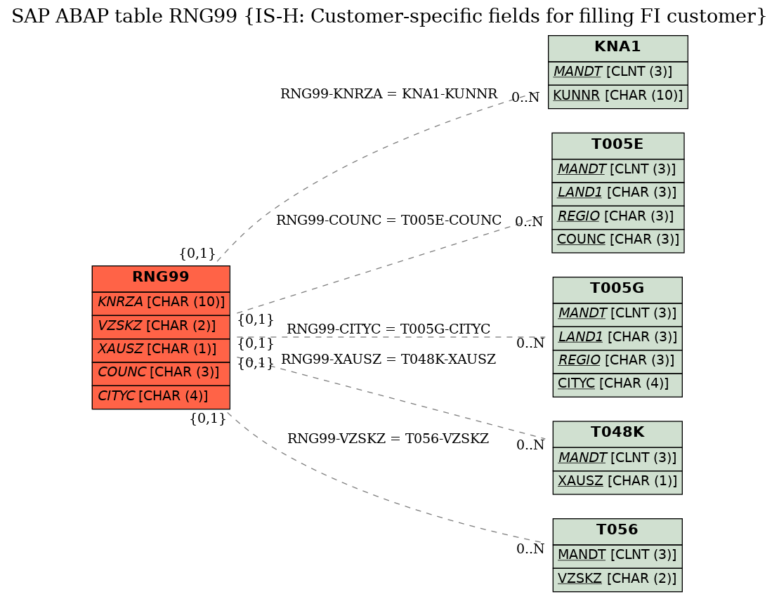 E-R Diagram for table RNG99 (IS-H: Customer-specific fields for filling FI customer)