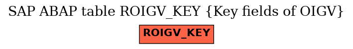 E-R Diagram for table ROIGV_KEY (Key fields of OIGV)