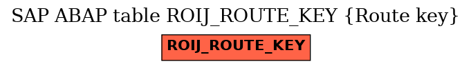 E-R Diagram for table ROIJ_ROUTE_KEY (Route key)