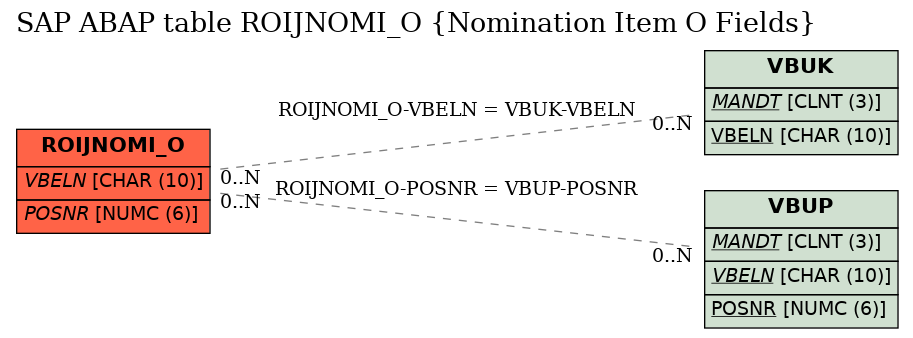 E-R Diagram for table ROIJNOMI_O (Nomination Item O Fields)