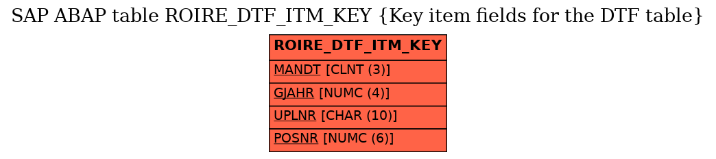 E-R Diagram for table ROIRE_DTF_ITM_KEY (Key item fields for the DTF table)