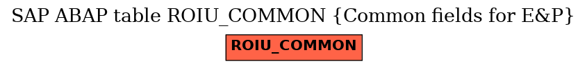 E-R Diagram for table ROIU_COMMON (Common fields for E&P)