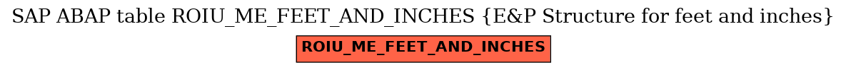 E-R Diagram for table ROIU_ME_FEET_AND_INCHES (E&P Structure for feet and inches)