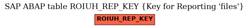 E-R Diagram for table ROIUH_REP_KEY (Key for Reporting 'files')