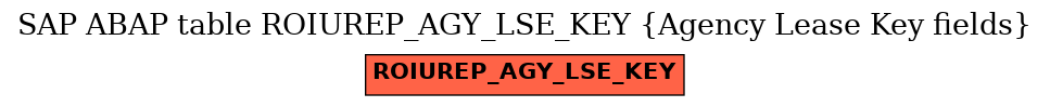 E-R Diagram for table ROIUREP_AGY_LSE_KEY (Agency Lease Key fields)