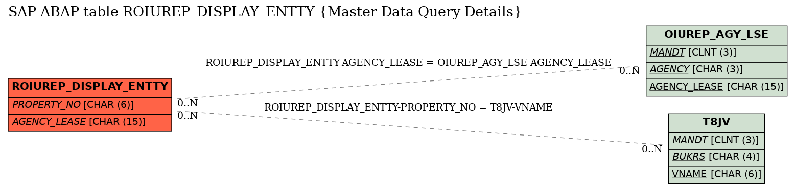 E-R Diagram for table ROIUREP_DISPLAY_ENTTY (Master Data Query Details)