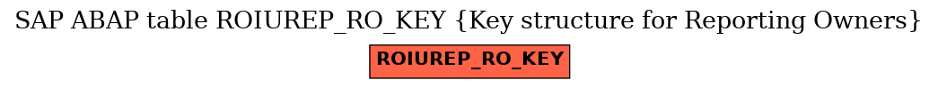 E-R Diagram for table ROIUREP_RO_KEY (Key structure for Reporting Owners)