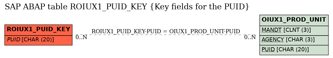 E-R Diagram for table ROIUX1_PUID_KEY (Key fields for the PUID)