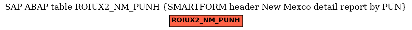 E-R Diagram for table ROIUX2_NM_PUNH (SMARTFORM header New Mexco detail report by PUN)