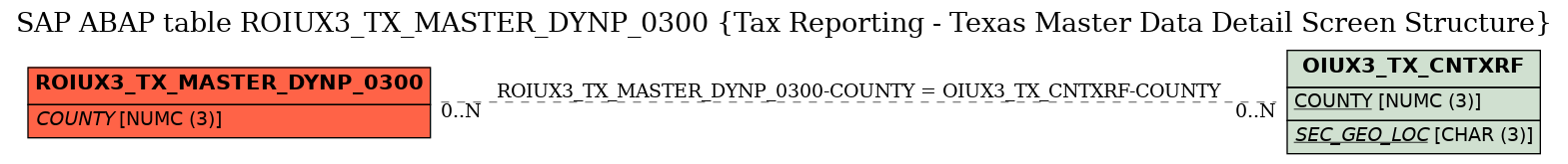 E-R Diagram for table ROIUX3_TX_MASTER_DYNP_0300 (Tax Reporting - Texas Master Data Detail Screen Structure)