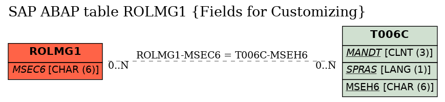 E-R Diagram for table ROLMG1 (Fields for Customizing)