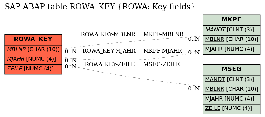 E-R Diagram for table ROWA_KEY (ROWA: Key fields)